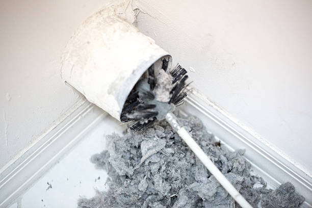 Best Affordable Duct Cleaning Services  in South Palm Beach, FL